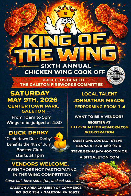 King of the wing poster